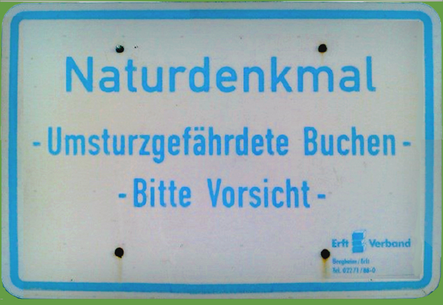 n_008_ zu-paul_31-08-2016.jpg