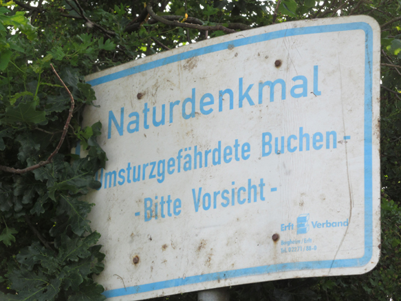n_007_schild-wieda_8-6-2016.jpg