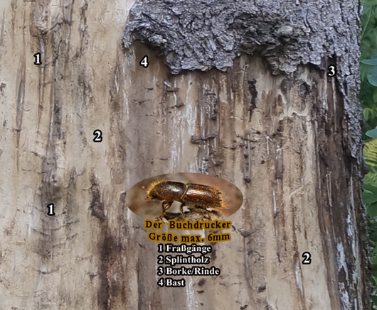 n_011_cb_inf-bk-gänge.jpg