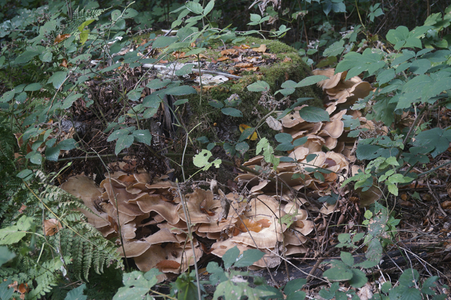n_017_cb_rieporli_12-10-2022.jpg