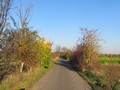 001_cb_furthweg-quitt.jpg