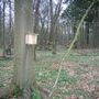 032_cb_dsch1_30-4-11.JPG