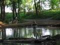 034_cb_fontane_4-2011.JPG