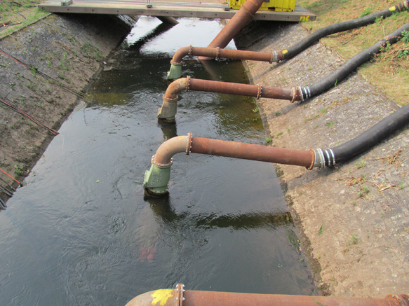 n_011_randkan san pump_0012.jpg