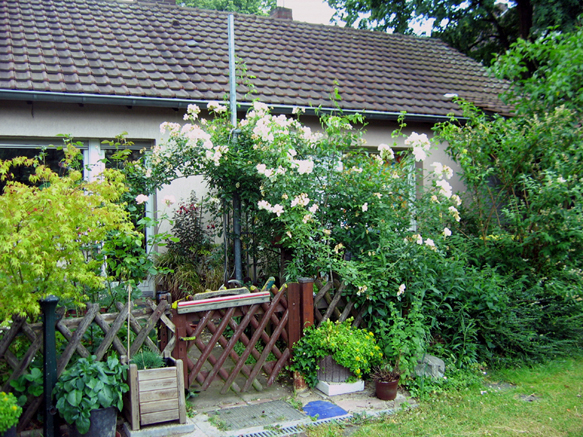 n_14_dz-str-vor -gustav_2008.jpg