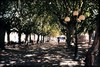 11_ajaccio_place_foch_1987.jpg