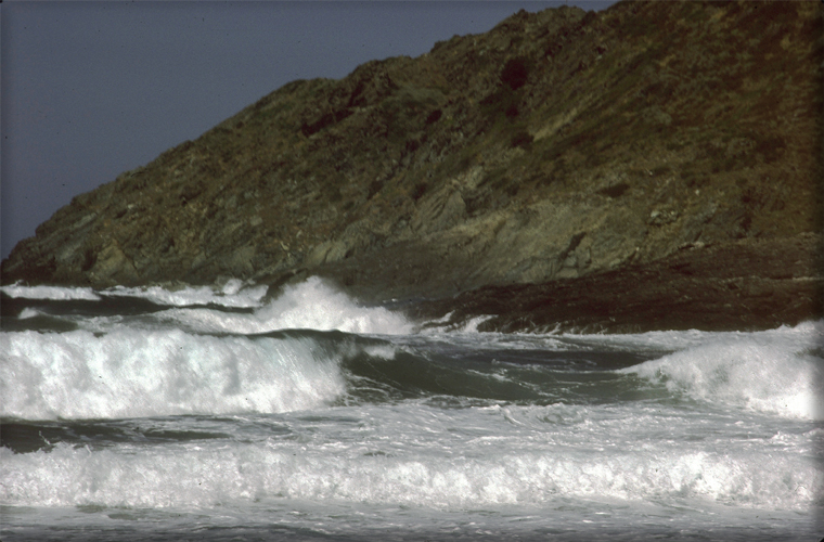 n_38_anse_de_aliso_1986.jpg