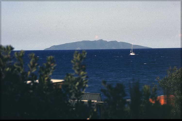 n_14_tropica_elba_1985.jpg