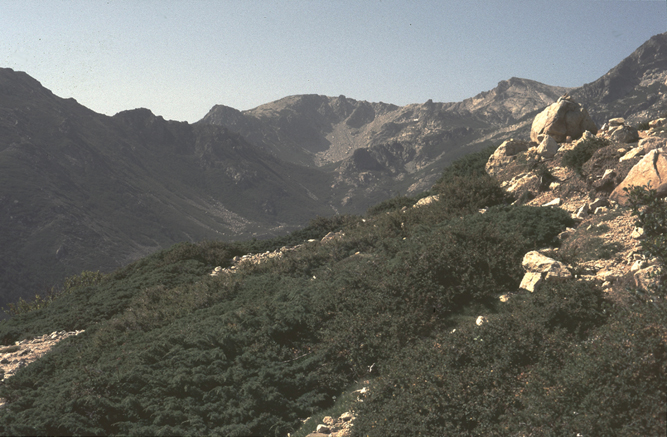 n_40_d169-mt-renoso_1986.jpg